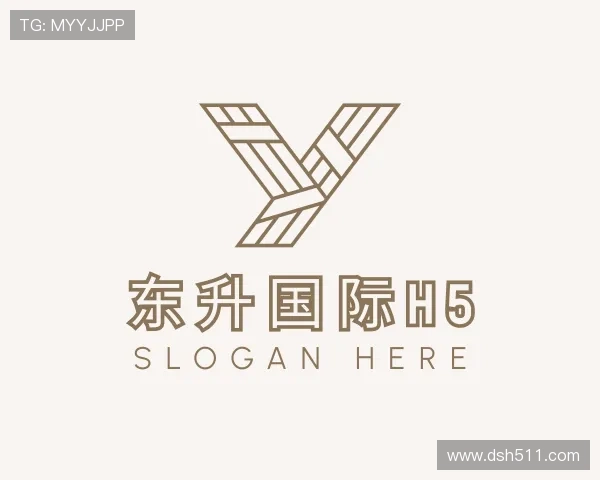 洞察东升国际h5